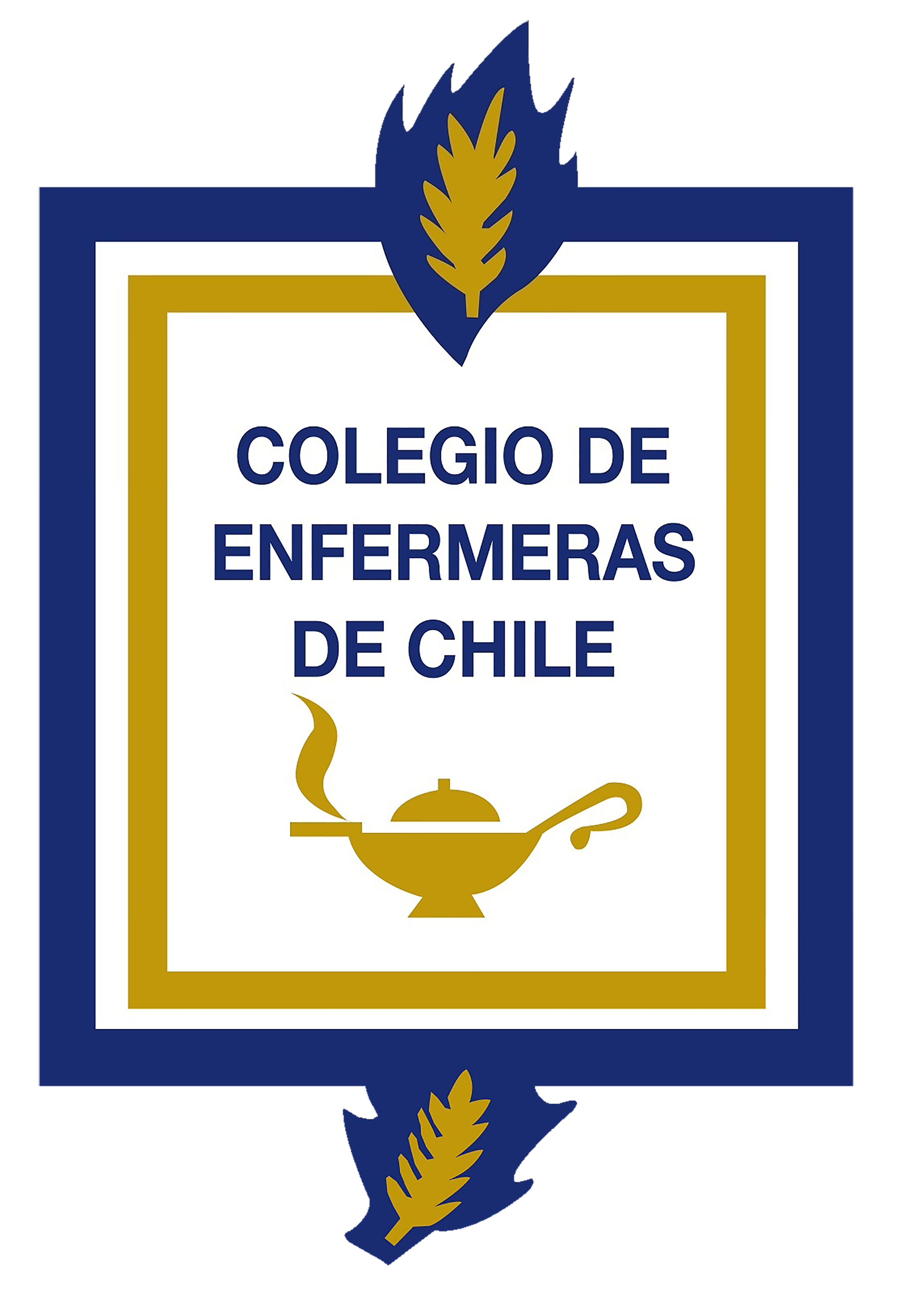 COLEGIO ENFERMERAS