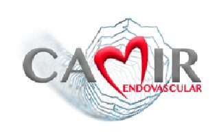 Copia de logo camir
